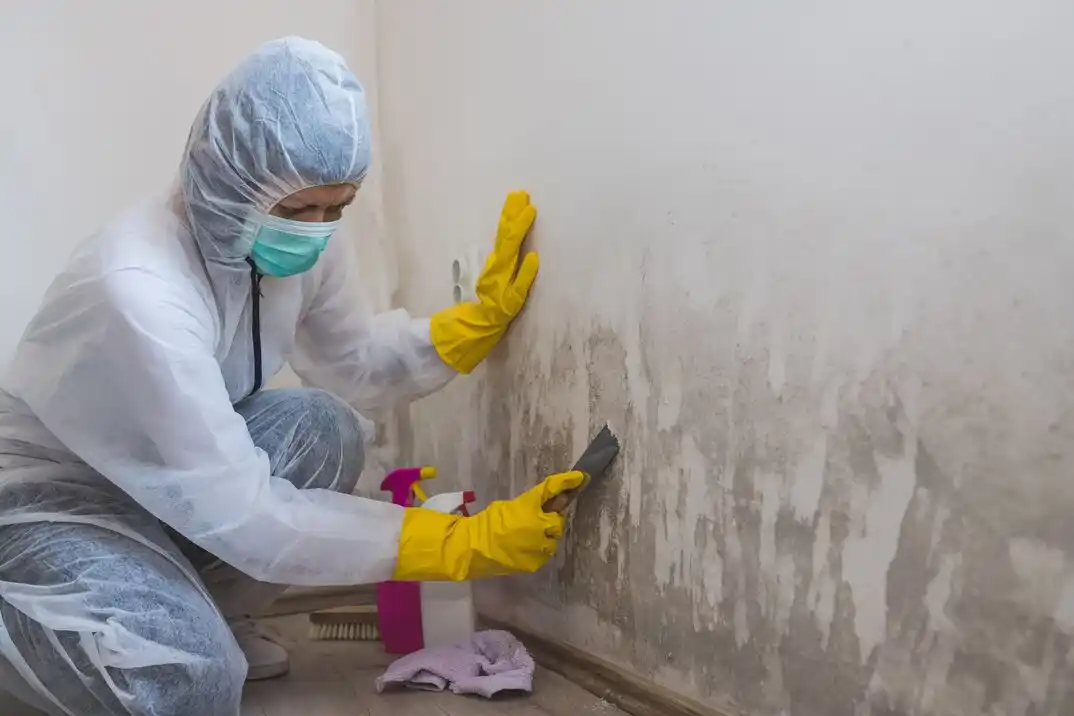 water damage restoration service Columbia Heights